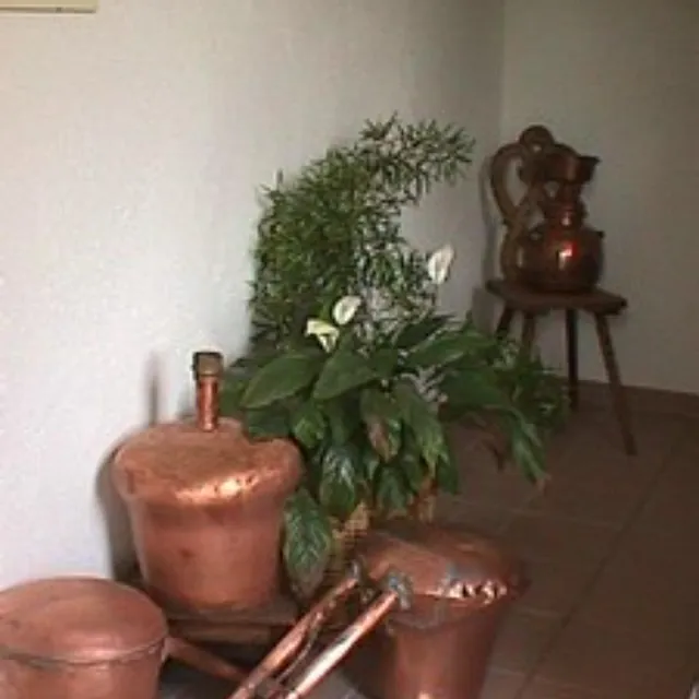 distillerie